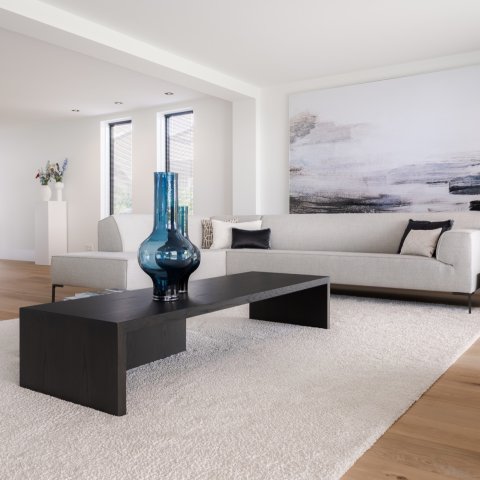 Moderne Scandinavische woonhuis