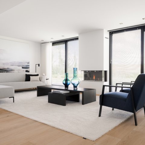 Moderne Scandinavische woonhuis