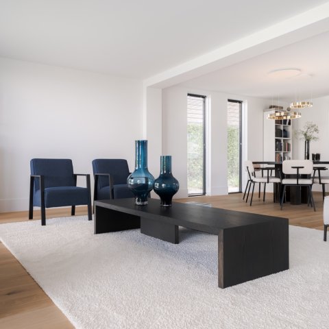 Moderne Scandinavische woonhuis