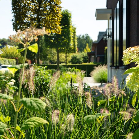 Tuin met charme