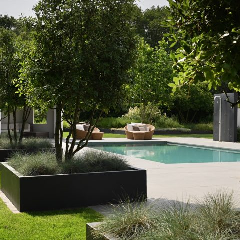 Moderne designertuin met zwembad en veel groenbeleving