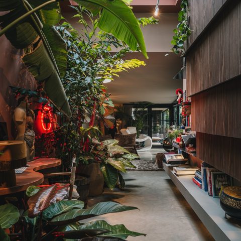 Escape in Amsterdam