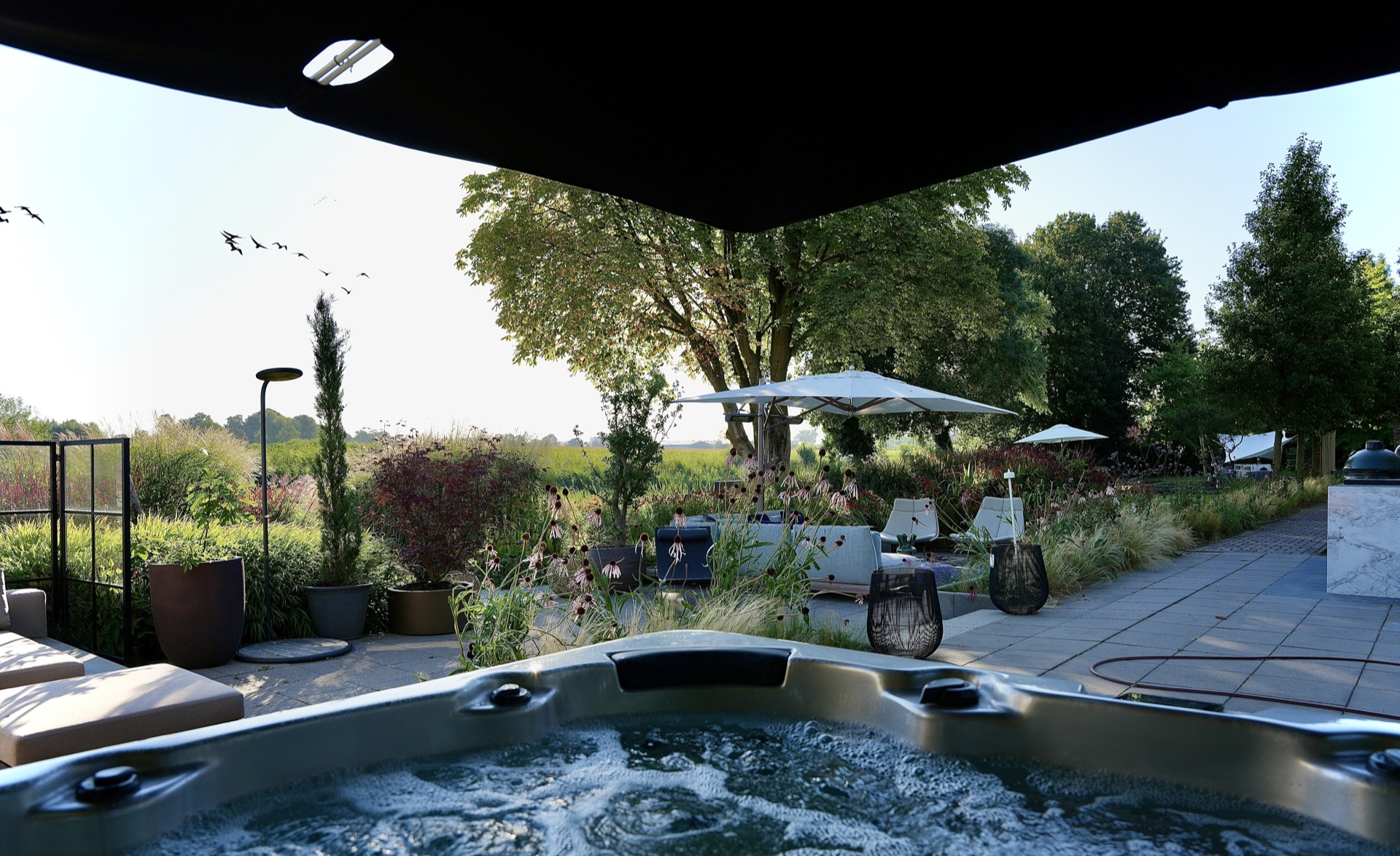 modern show garden with outdoor kitchen and lounge: show garden overview with spa, shade sail structure and green borders, Luxury, Design, Exclusive, Modern, Custom Made, Special, Beautiful