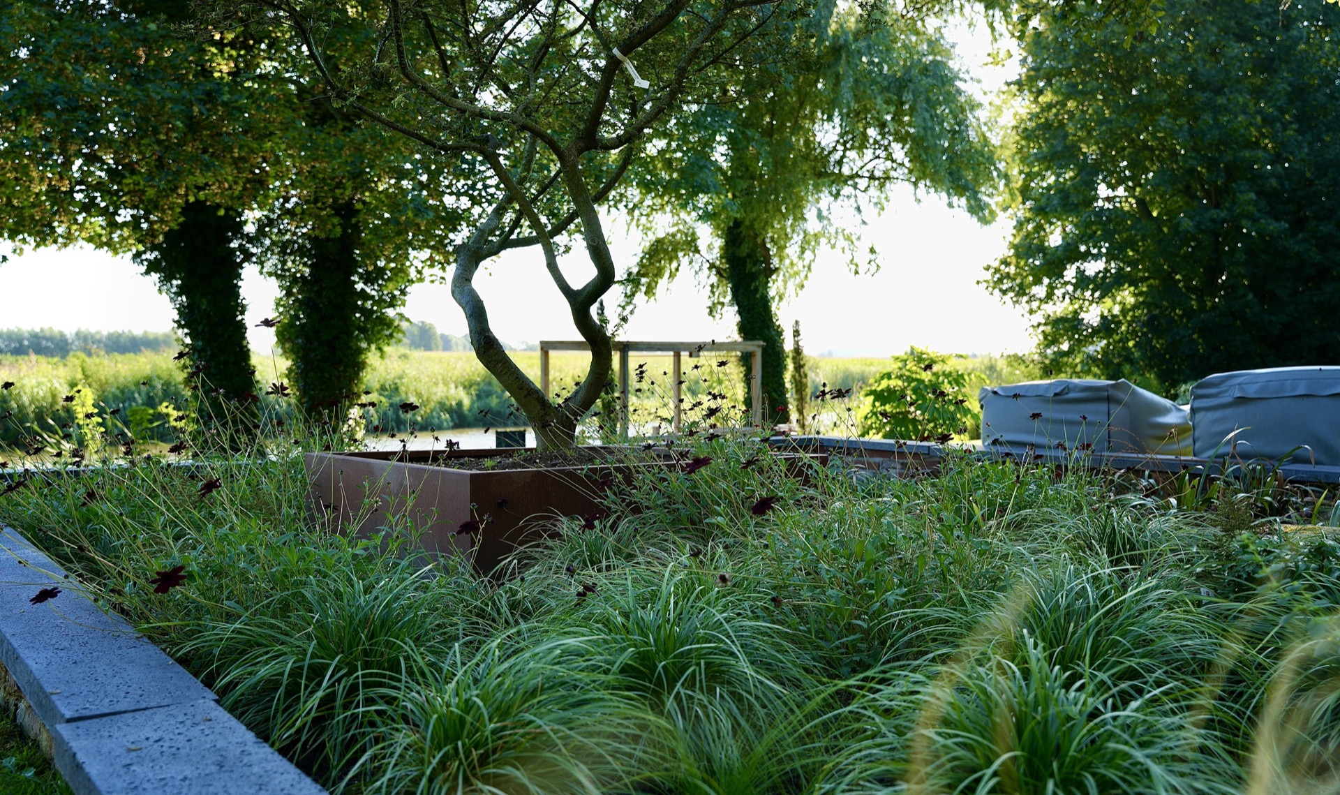 modern show garden with outdoor kitchen and lounge: water feature with edging and shade cover in a modern show garden, Luxury, Design, Exclusive, Modern, Custom Made, Special, Beautiful
