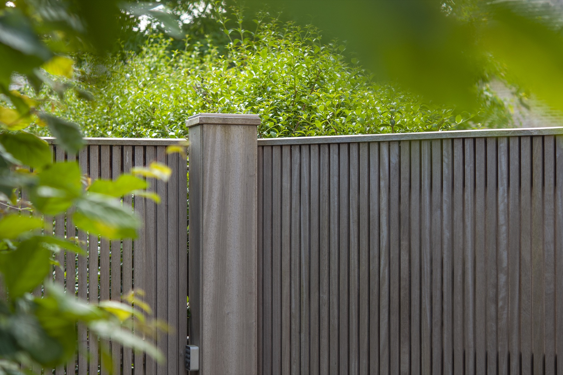 cancello scorrevole automatico in legno: vista laterale della recinzione da giardino in legno con doghe verticali tra il, Luxury, Design, Exclusive, Modern, Custom Made, Special, Beautiful