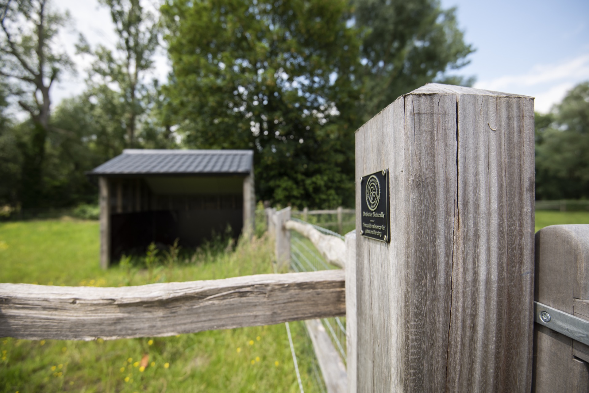 Luxe, Design, Exclusief, Modern, Maatwerk, Bijzondere, Mooie