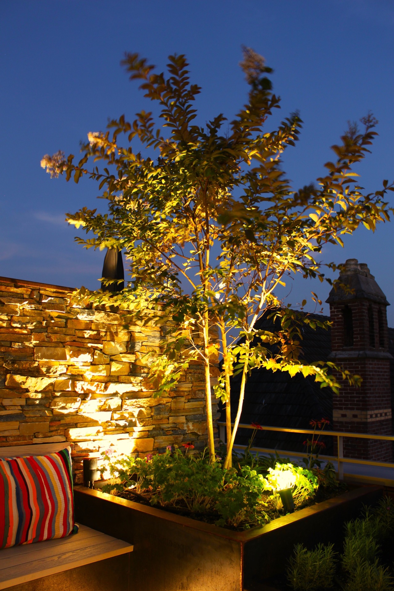 giardino pensile illuminazione: vista notturna dall’interno verso il giardino pensile con muro in pietra naturale illuminato, Luxury, Design, Exclusive, Modern, Custom Made, Special, Beautiful