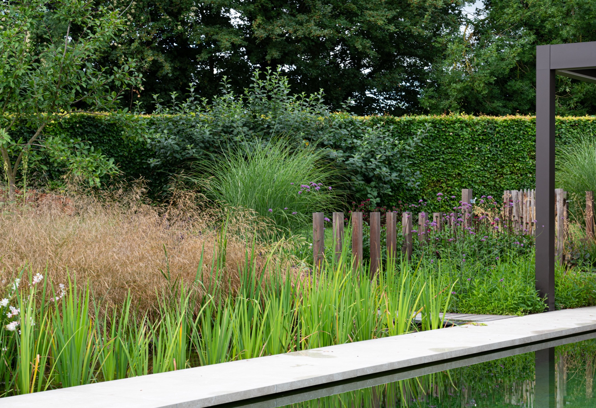 piscina naturale: Aiola con graminacee ornamentali e fiori lungo il bordo di una, Luxury, Design, Exclusive, Modern, Custom Made, Special, Beautiful