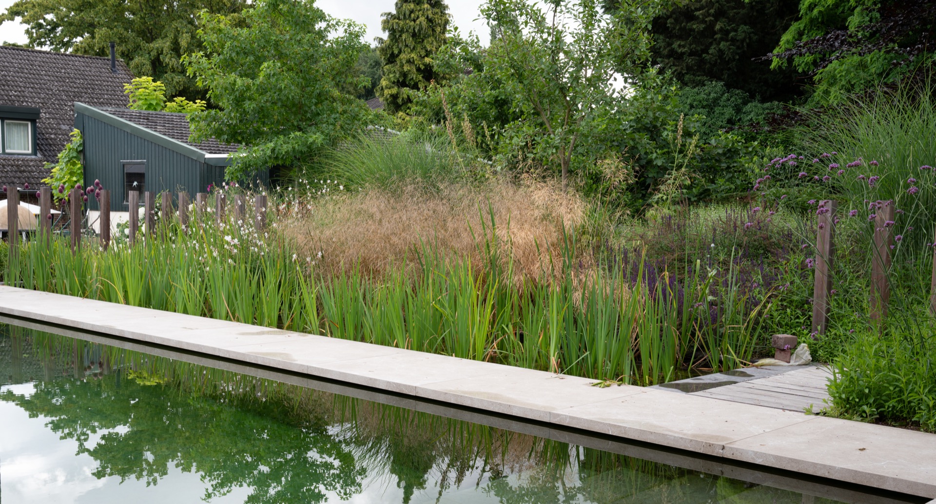 piscina naturale: bordo lungo della piscina con acqua e vegetazione lungo la riva, Luxury, Design, Exclusive, Modern, Custom Made, Special, Beautiful
