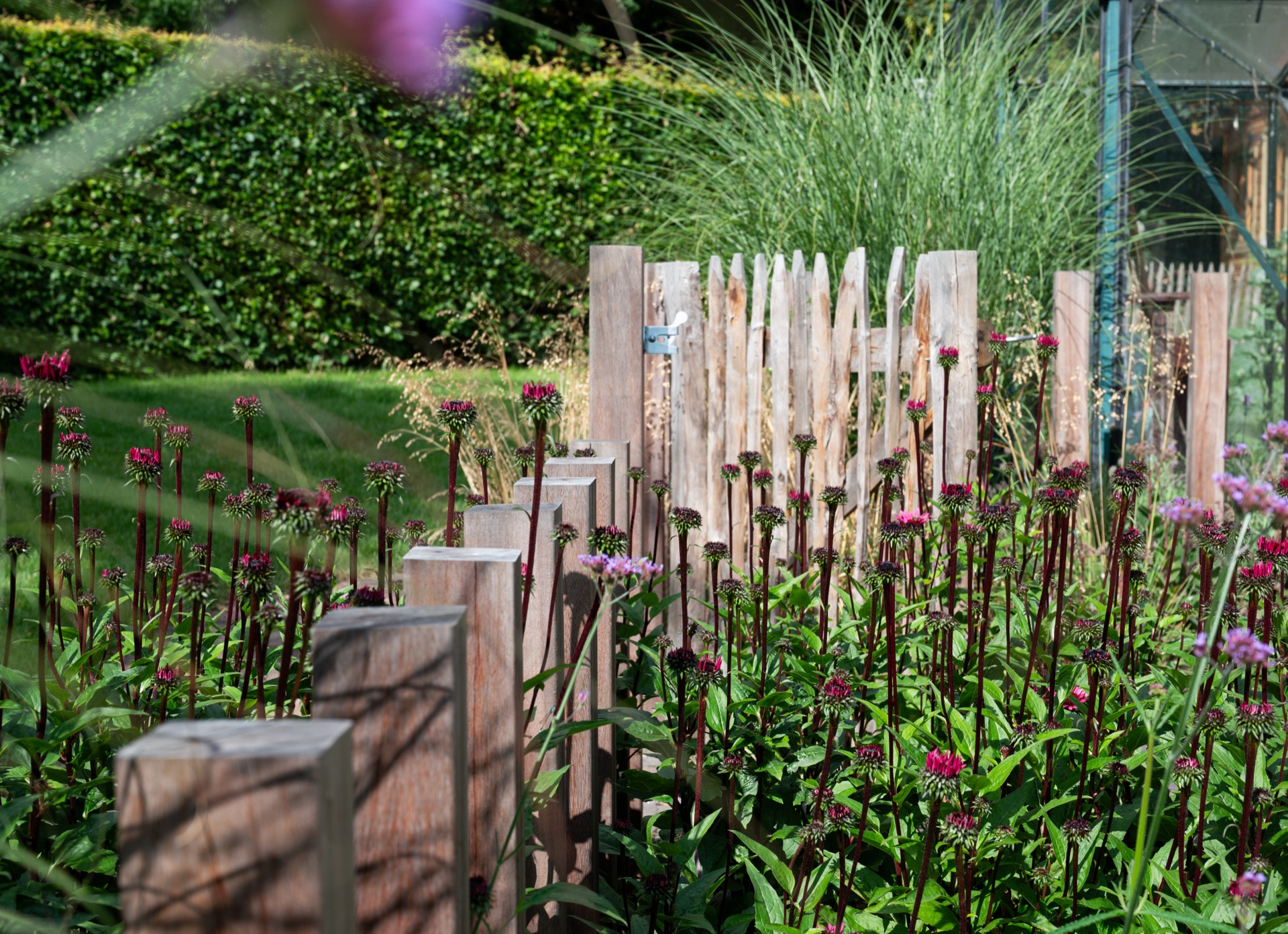 piscina naturale: fila di paletti in legno con fiori e recinzione trasparente nel giardino vicino alla vasca, Luxury, Design, Exclusive, Modern, Custom Made, Special, Beautiful