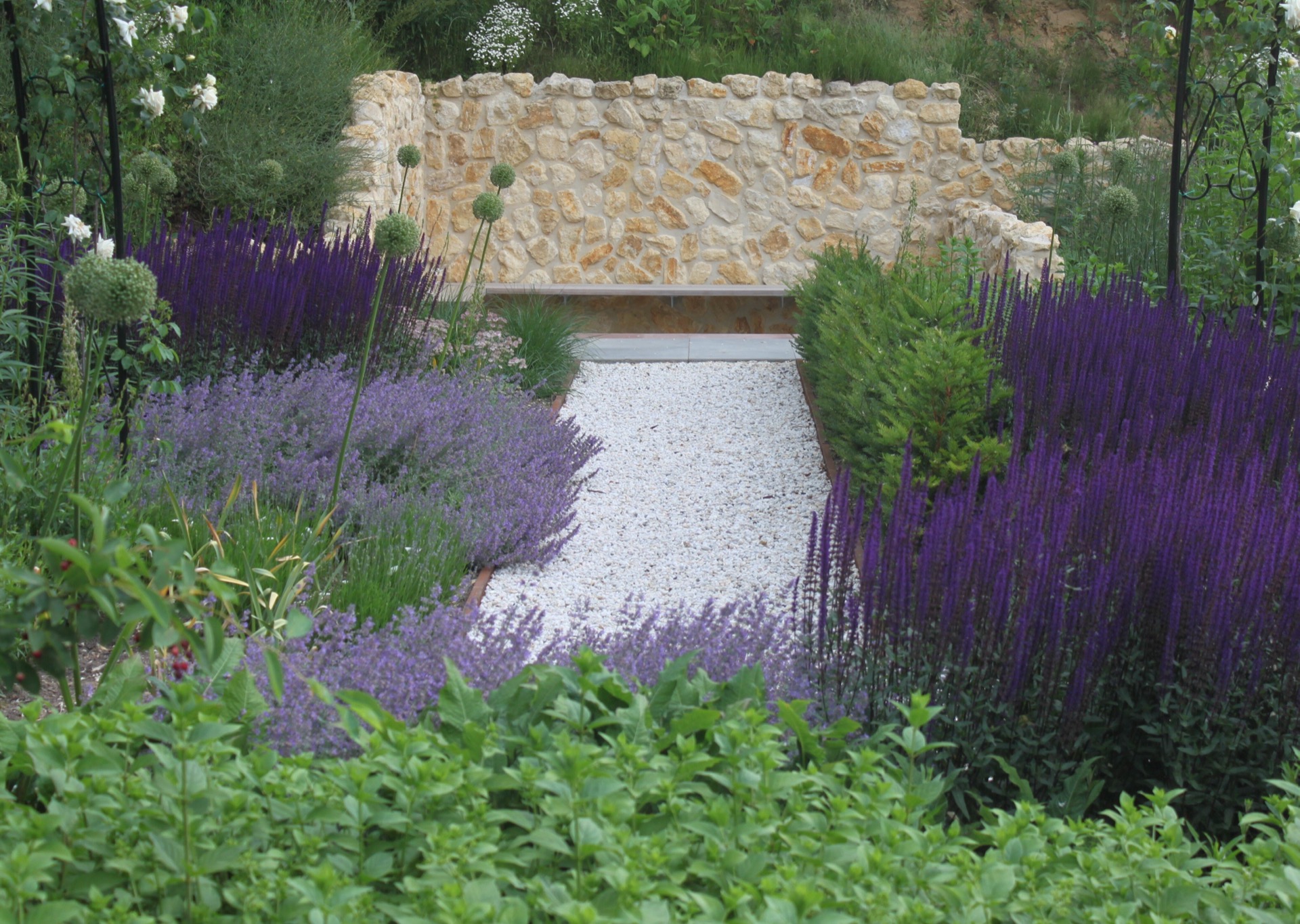 giardino paesaggistico inglese con piscina: piscina con bordo piastrellato e rose bianche nel primo piano del giardino, Luxury, Design, Exclusive, Modern, Custom Made, Special, Beautiful