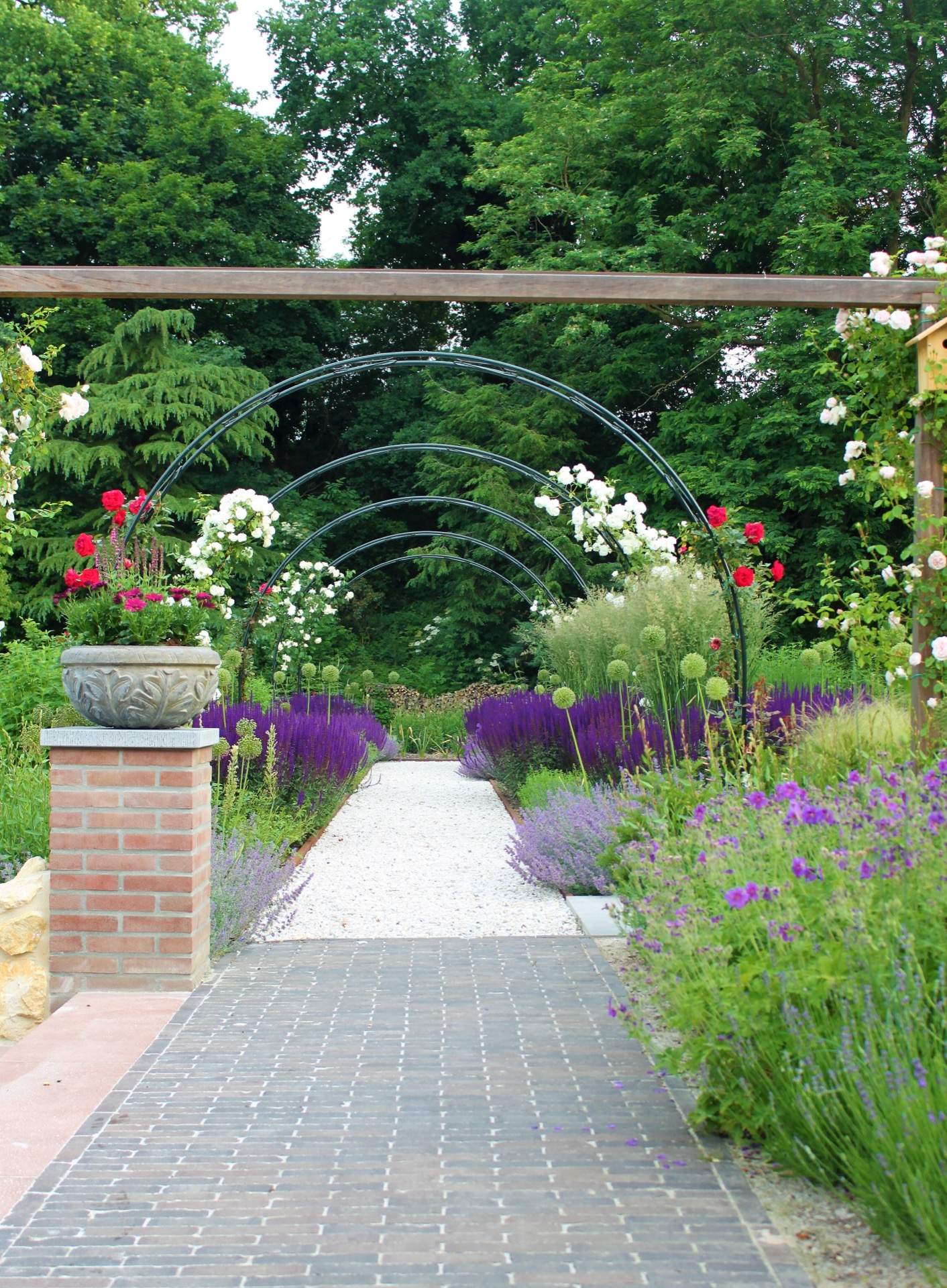 giardino paesaggistico inglese con piscina: bordura a strati con graminacee ornamentali, fiori viola e fiori sferici bianchi, Luxury, Design, Exclusive, Modern, Custom Made, Special, Beautiful