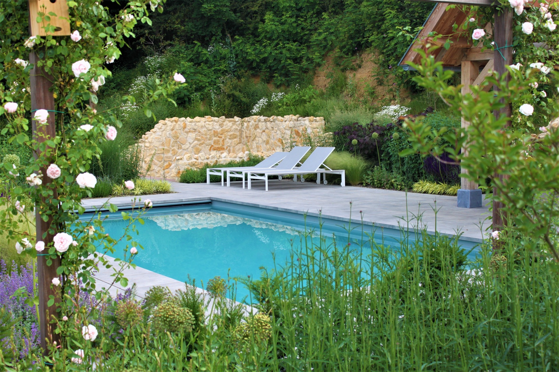 giardino paesaggistico inglese con piscina: primo piano di fiori di rose bianche contro una recinzione in legno nel giardino, Luxury, Design, Exclusive, Modern, Custom Made, Special, Beautiful