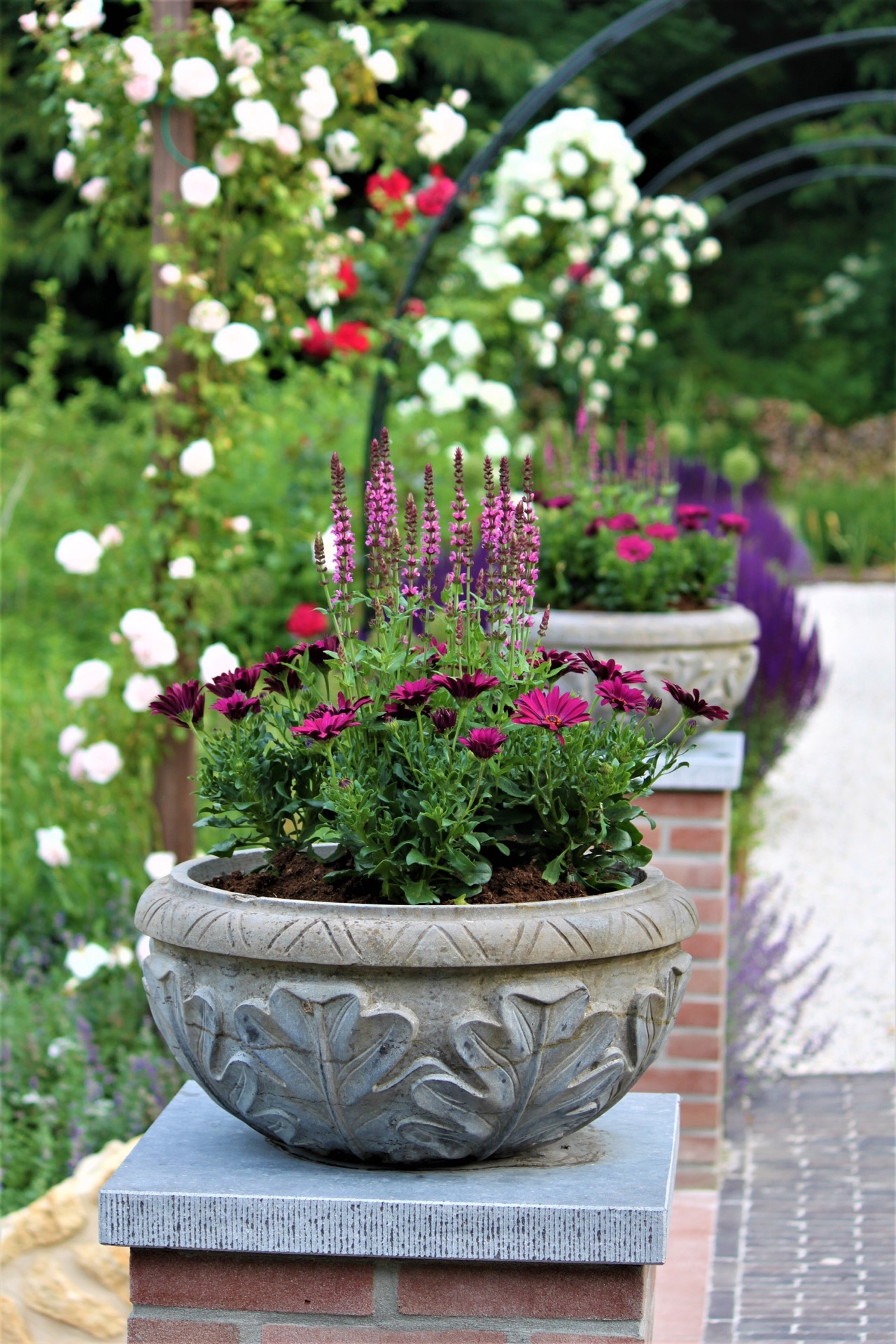 giardino paesaggistico inglese con piscina: primo piano di piante in fiore in una grande fioriera in pietra vicino a un muro, Luxury, Design, Exclusive, Modern, Custom Made, Special, Beautiful