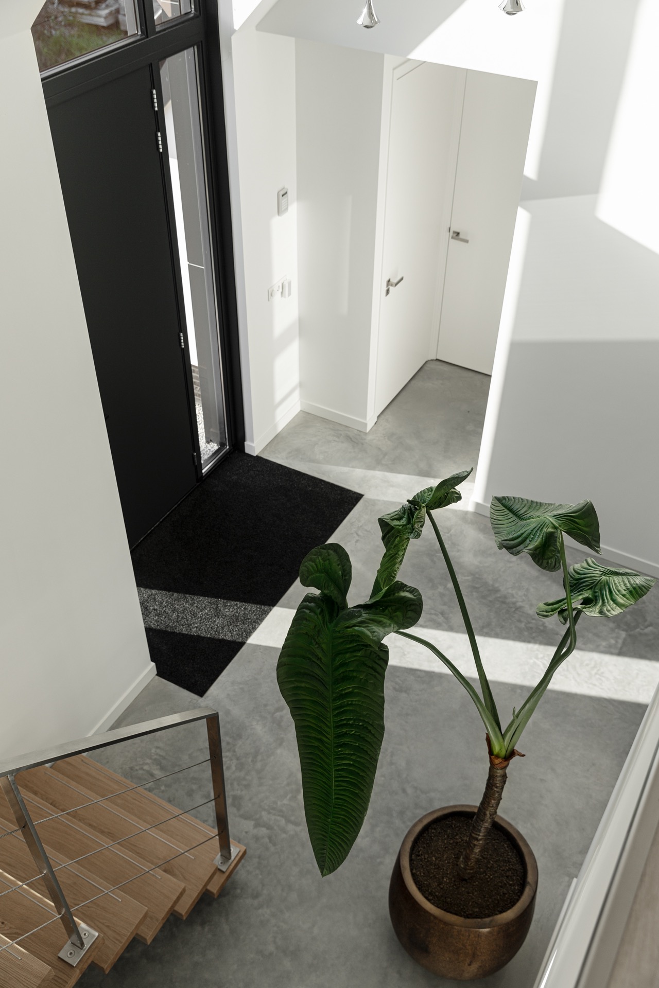pareti in cemento decorativo: ingresso con pavimento in cemento grigio, porta nera e pareti bianche pulite, Luxury, Design, Exclusive, Modern, Custom Made, Special, Beautiful