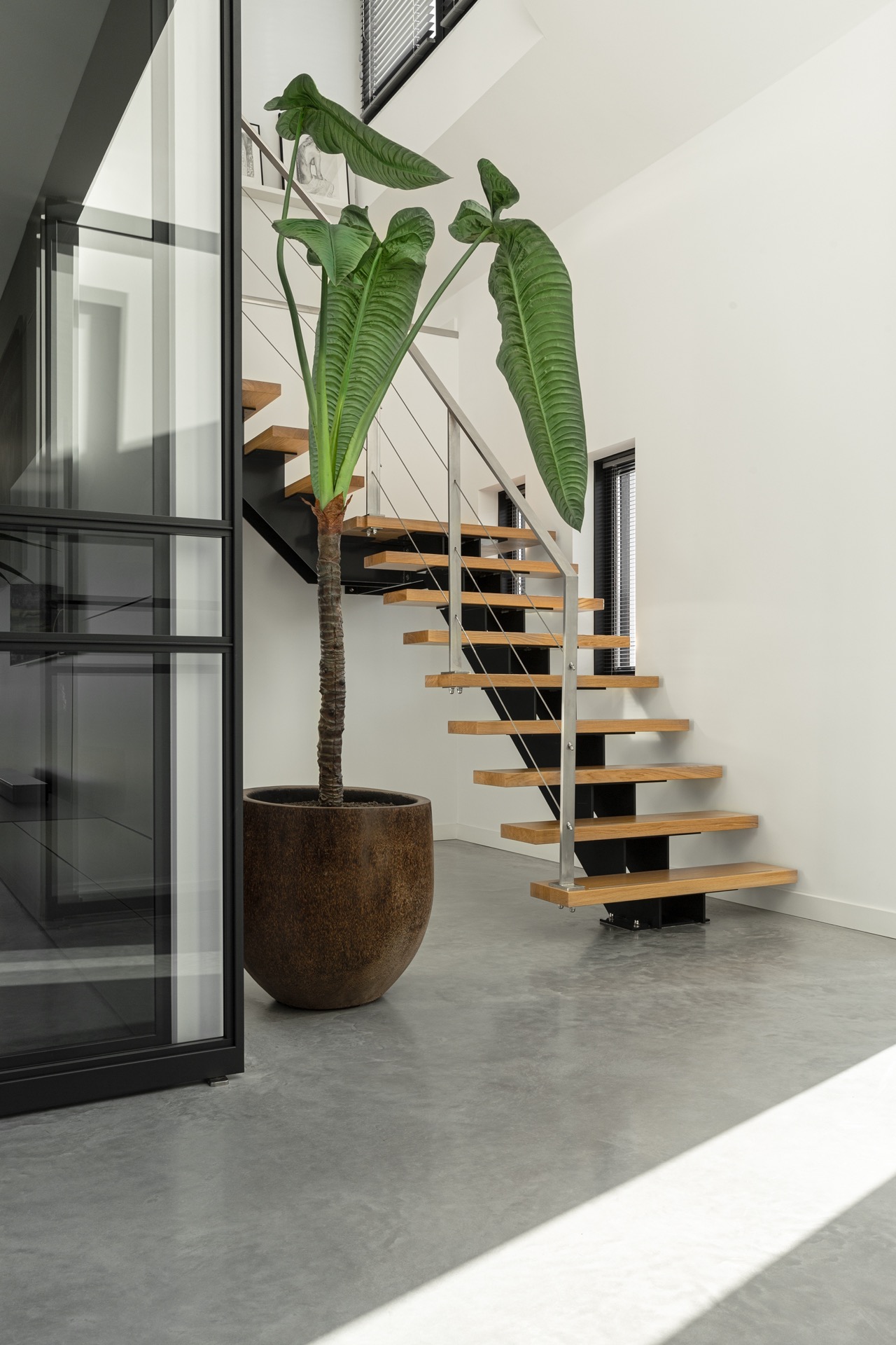 pareti in cemento decorativo: scala sospesa con gradini in legno e pavimento in cemento grigio accanto a una parete in vetro, Luxury, Design, Exclusive, Modern, Custom Made, Special, Beautiful