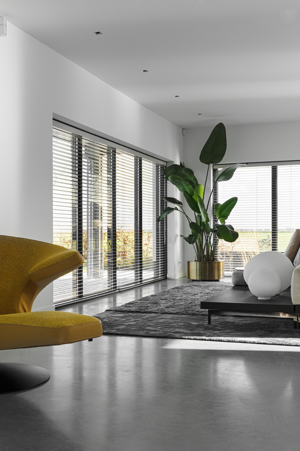 pareti in cemento decorativo: soggiorno con pavimento in cemento grigio, grandi finestre con lamelle nere e pareti bianche, Luxury, Design, Exclusive, Modern, Custom Made, Special, Beautiful