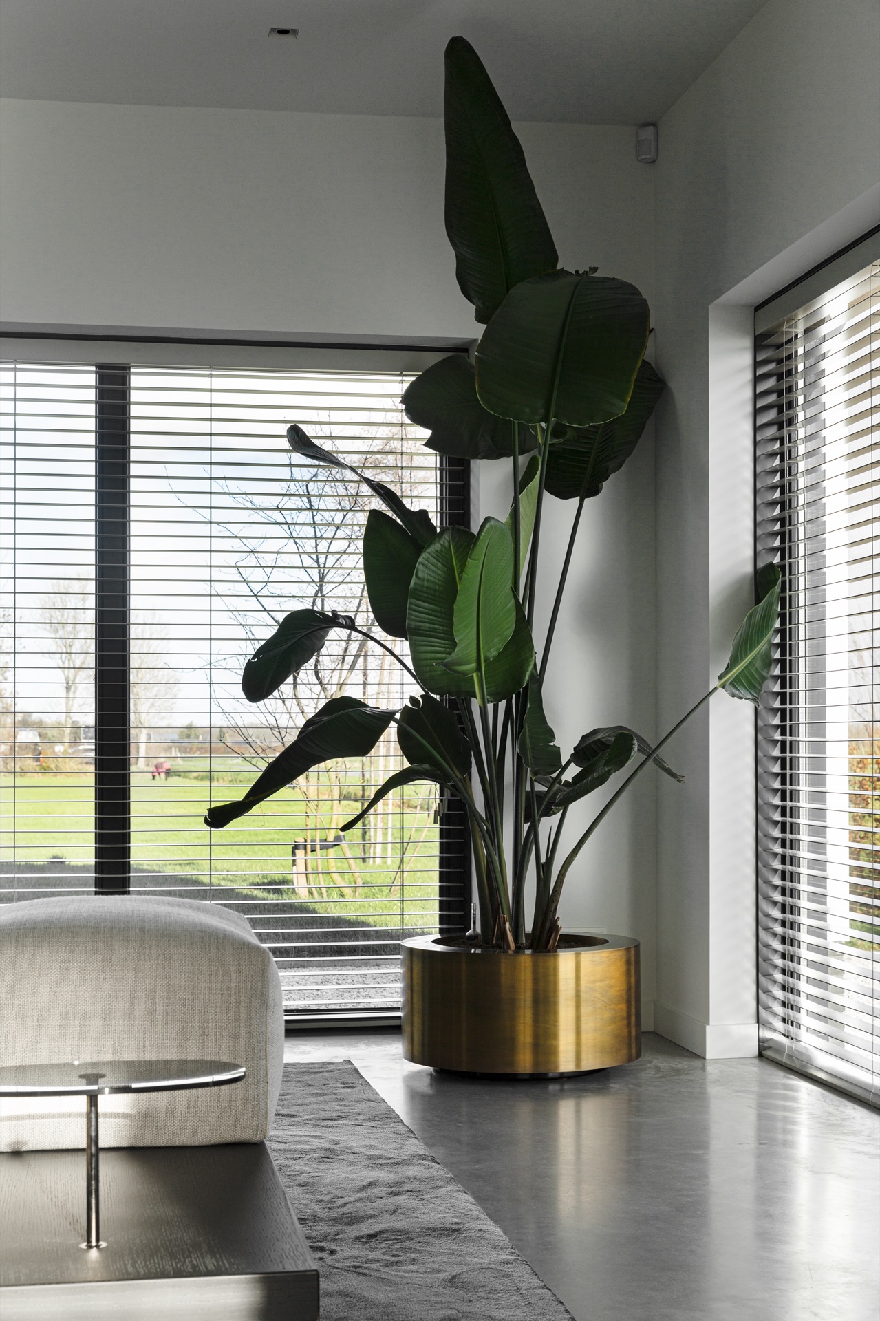 pareti in cemento decorativo: angolo del soggiorno con pavimento in cemento grigio e finestre con persiane orizzontali, Luxury, Design, Exclusive, Modern, Custom Made, Special, Beautiful