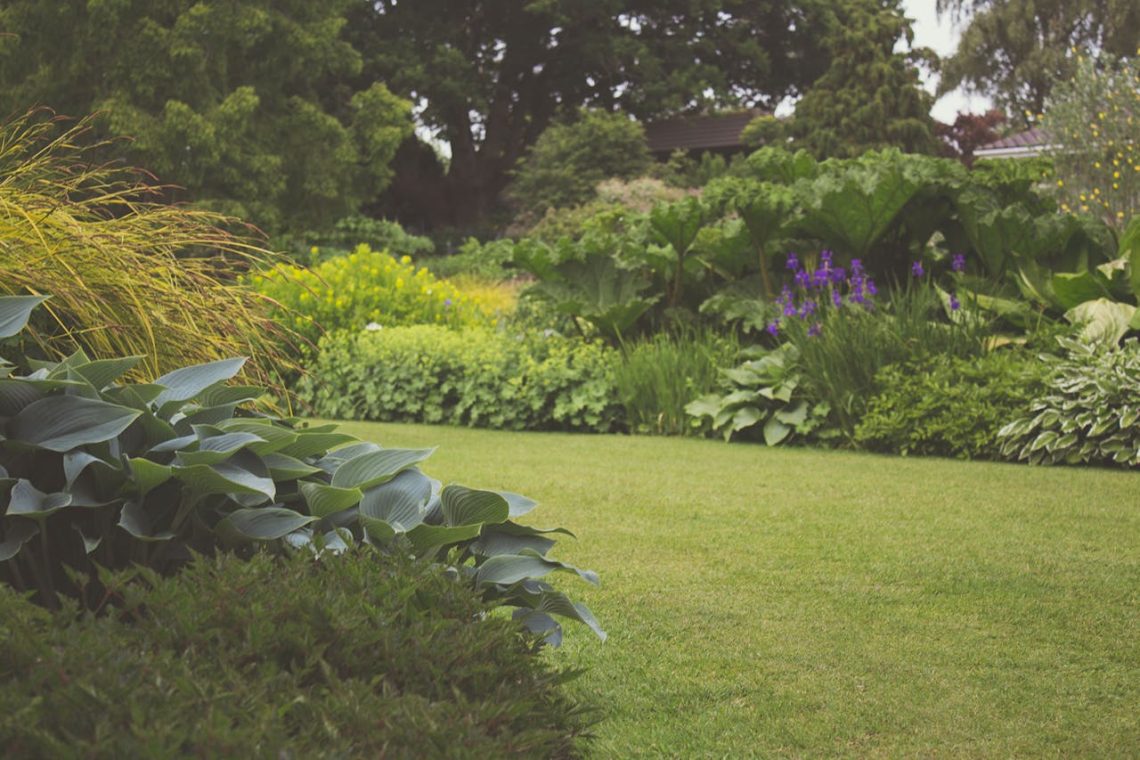 5 tuiniersgeheimen voor een mooie tuin