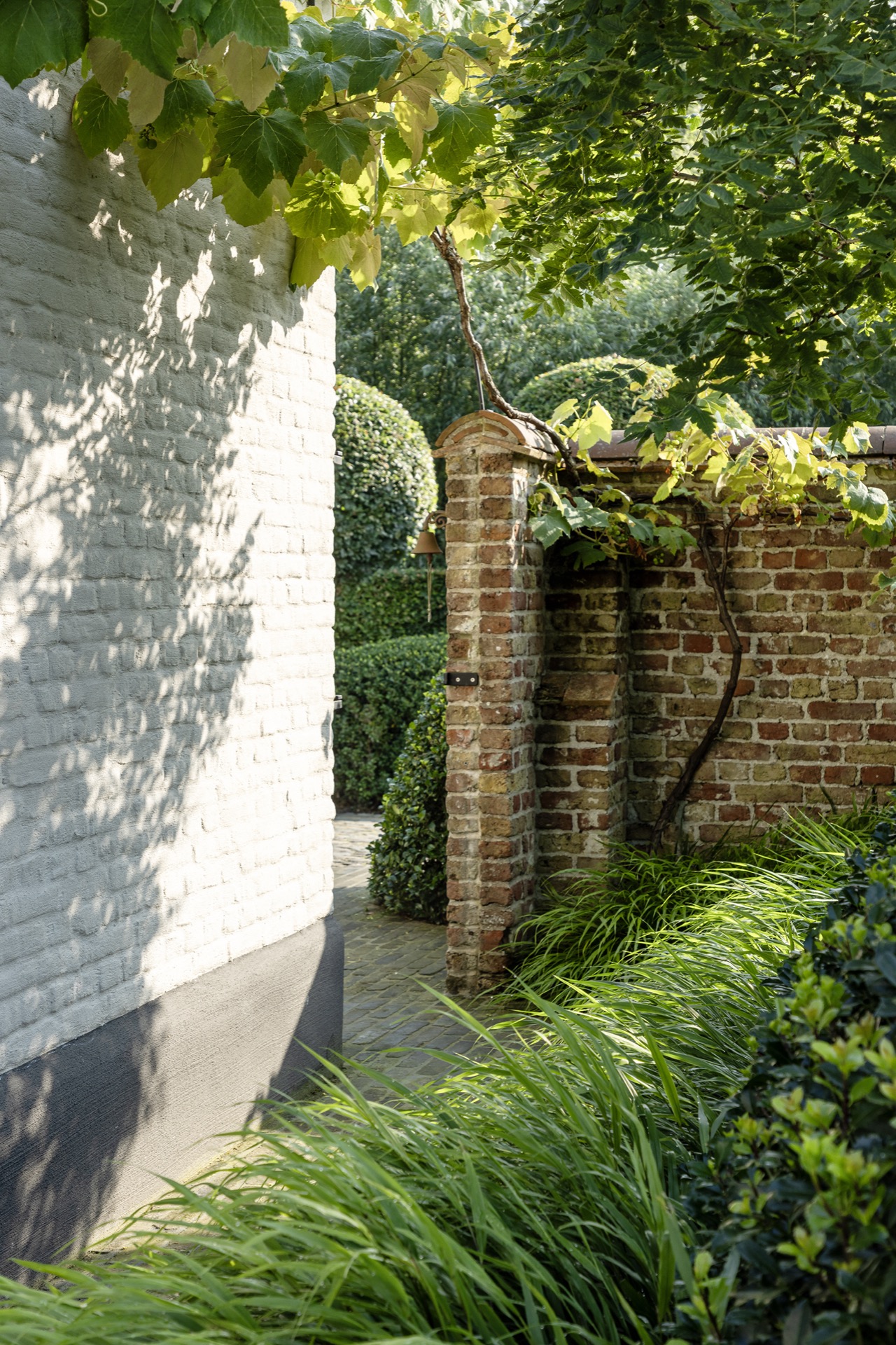 giardino di fattoria con piscina: dettaglio di un muro bianco del giardino con ombre delle foglie e vegetazione lungo un, Luxury, Design, Exclusive, Modern, Custom Made, Special, Beautiful