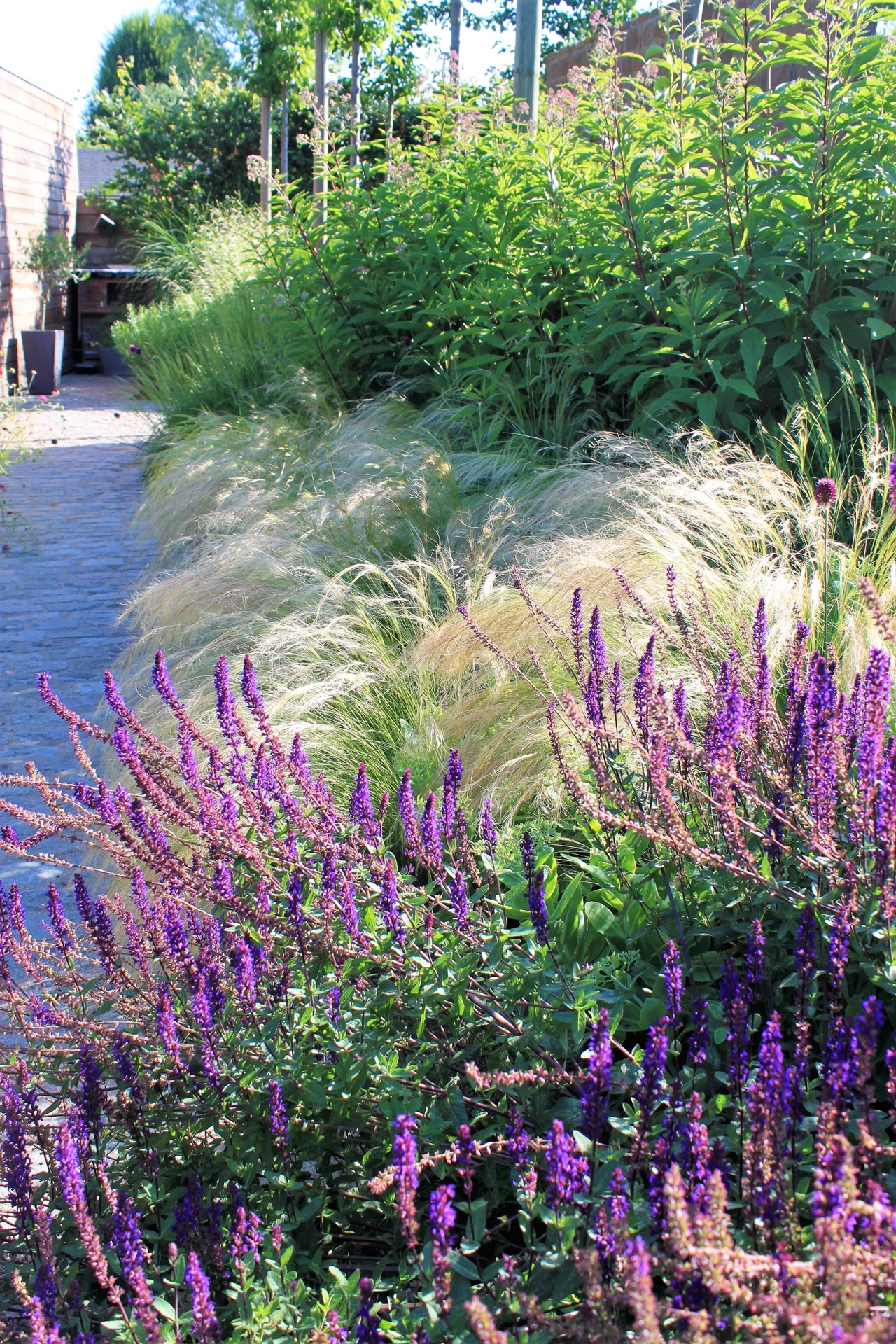 estanque de natación jardín: swimming pond backyard: ornamental grasses and purple flowers along a garden path near the, Luxury, Design, Exclusive, Modern, Custom Made, Special, Beautiful