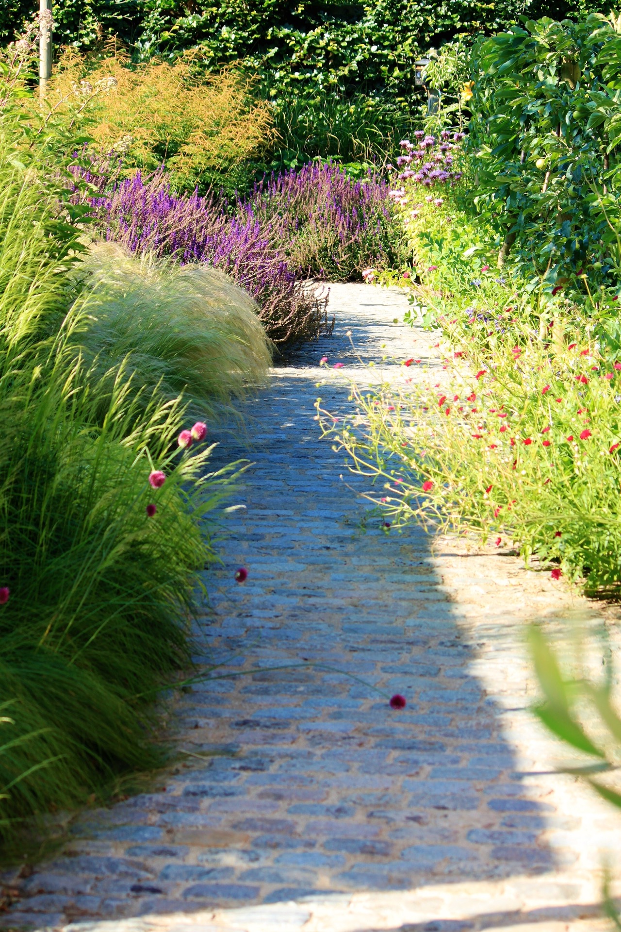 estanque de natación jardín: swimming pond backyard: purple flower border with ornamental grasses along a stone path by the, Luxury, Design, Exclusive, Modern, Custom Made, Special, Beautiful