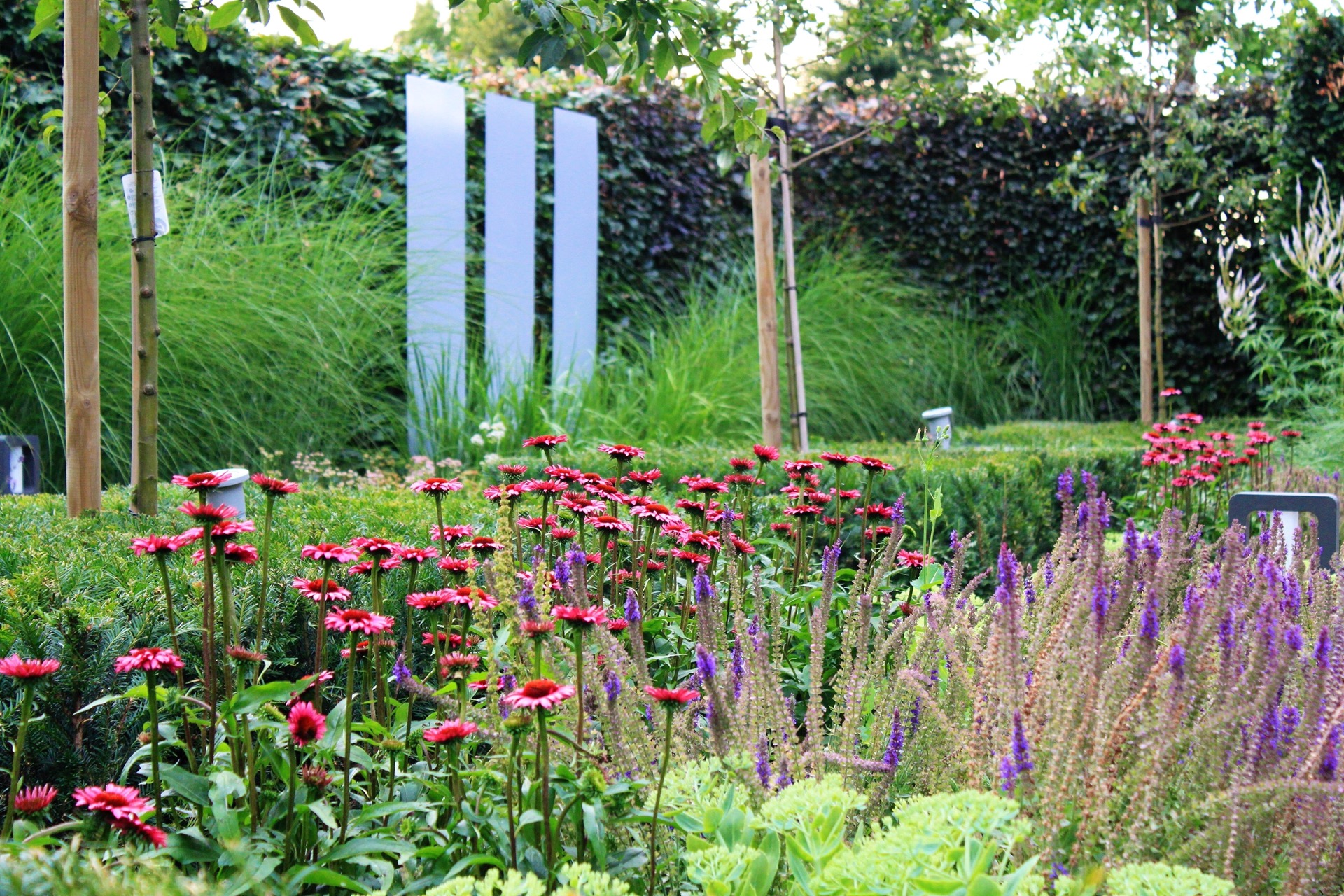 giardino verde posteriore con laghetto e terrazza: bordura di fiori rosa e viola con graminacee ornamentali e alberi giovani, Luxury, Design, Exclusive, Modern, Custom Made, Special, Beautiful