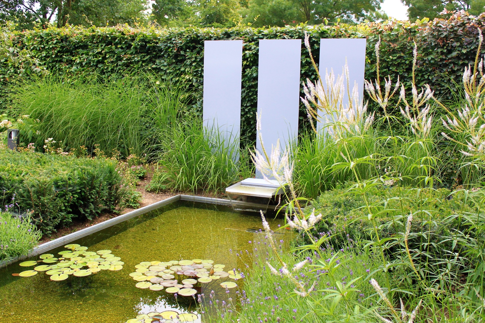 giardino verde posteriore con laghetto e terrazza: laghetto da giardino con foglie di ninfee galleggianti e bordo verde con, Luxury, Design, Exclusive, Modern, Custom Made, Special, Beautiful