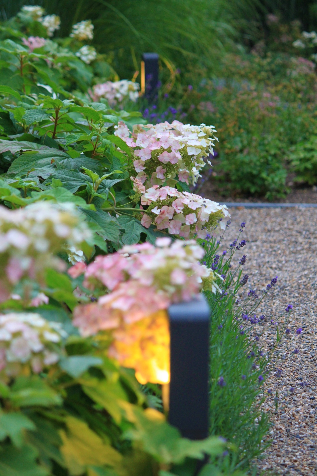 giardino verde posteriore con laghetto e terrazza: ortensia rosa e bianca in fiore in un’aiuola verde con vialetto in ghiaia, Luxury, Design, Exclusive, Modern, Custom Made, Special, Beautiful