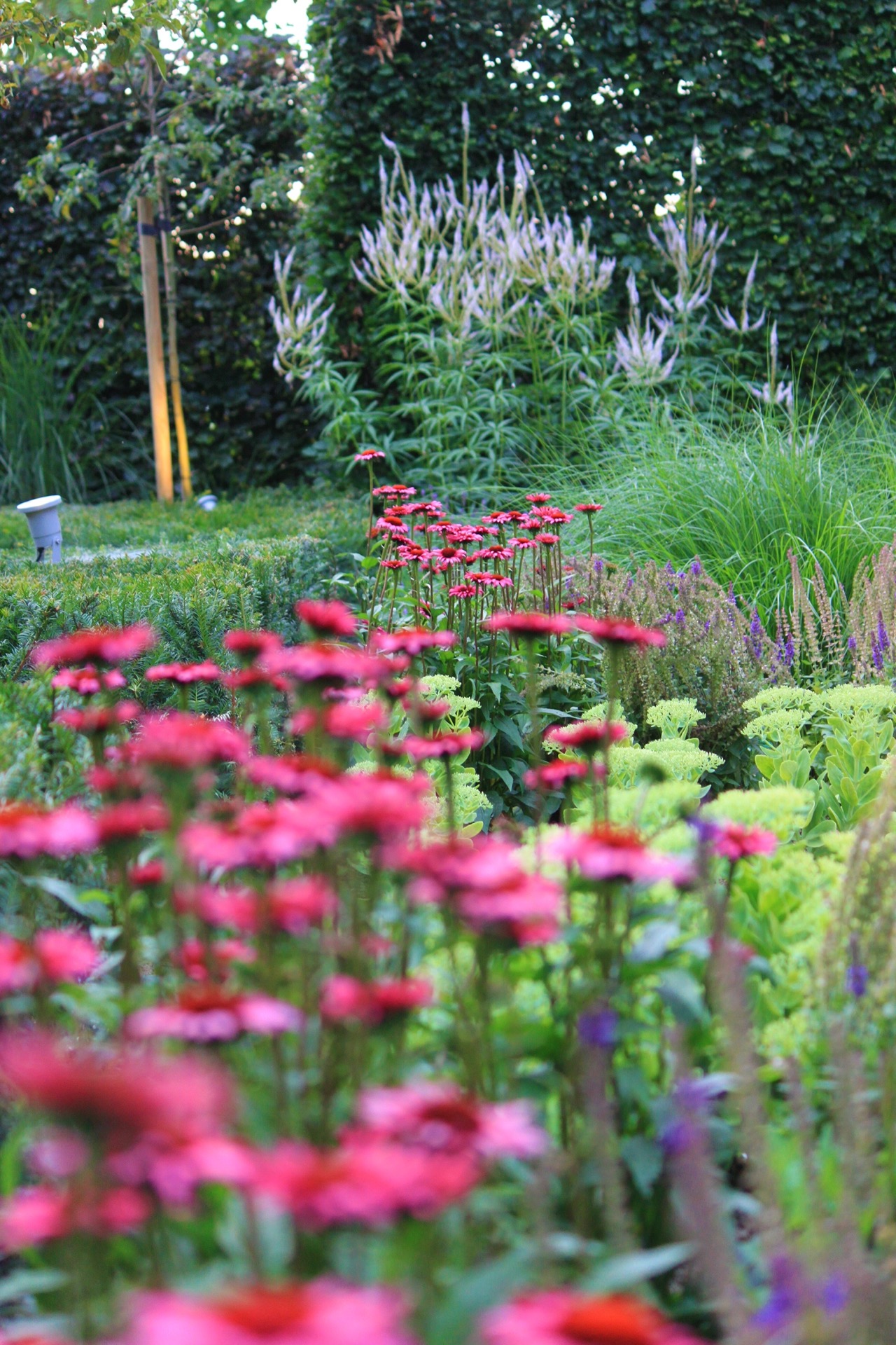 giardino verde posteriore con laghetto e terrazza: bordura di fiori suggestiva con fiori rosa, graminacee ornamentali e, Luxury, Design, Exclusive, Modern, Custom Made, Special, Beautiful