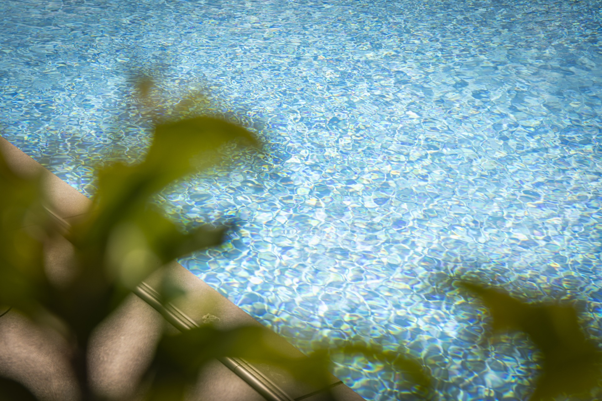 piscina rettangolare moderna con scala d’ingresso larga e zona lounge: acqua della piscina limpida con riflessi e dettagli, Luxury, Design, Exclusive, Modern, Custom Made, Special, Beautiful
