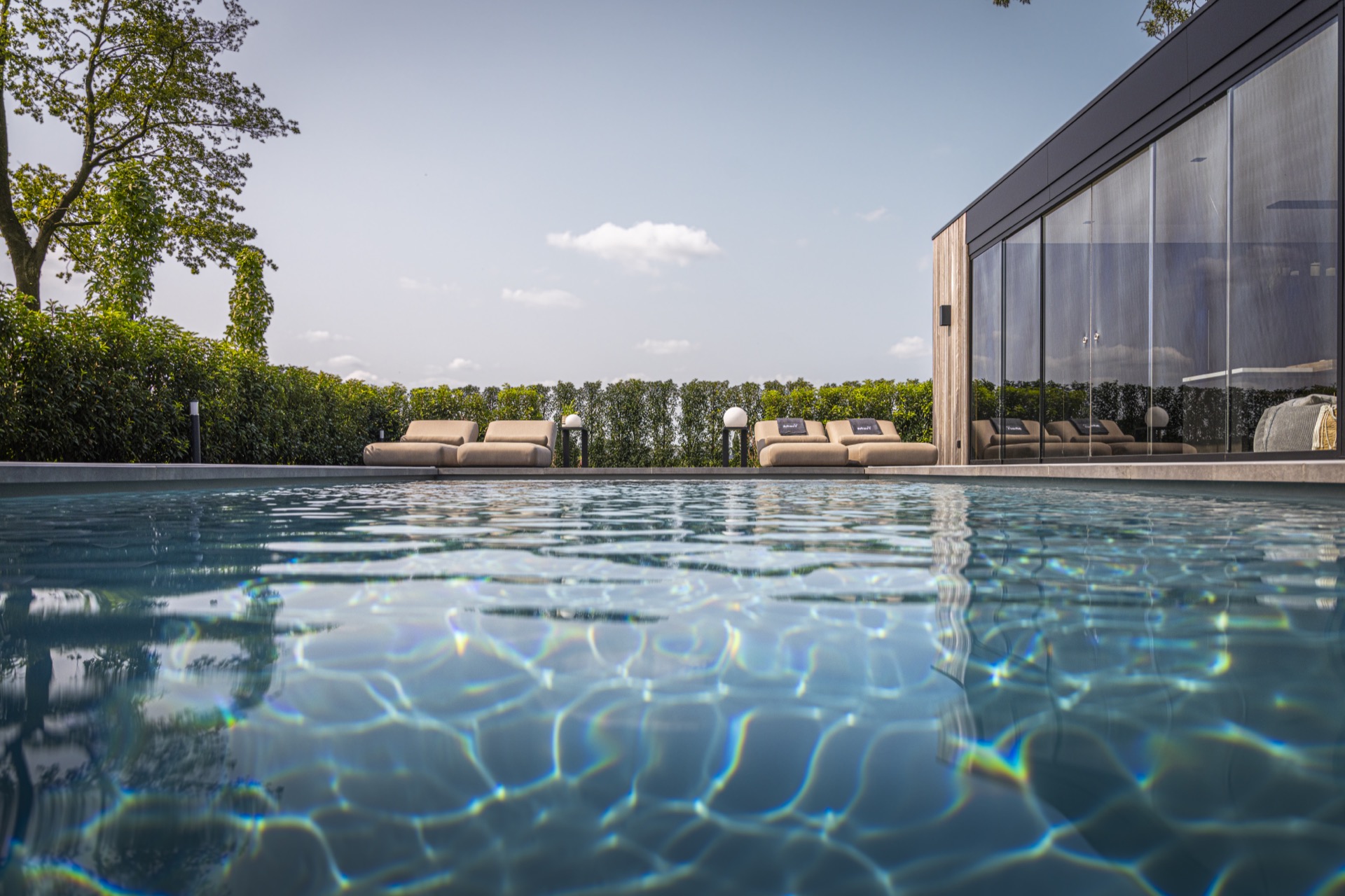 piscina incassata moderna con sistema di copertura: foglie verdi con acqua blu della piscina sullo sfondo, Luxury, Design, Exclusive, Modern, Custom Made, Special, Beautiful