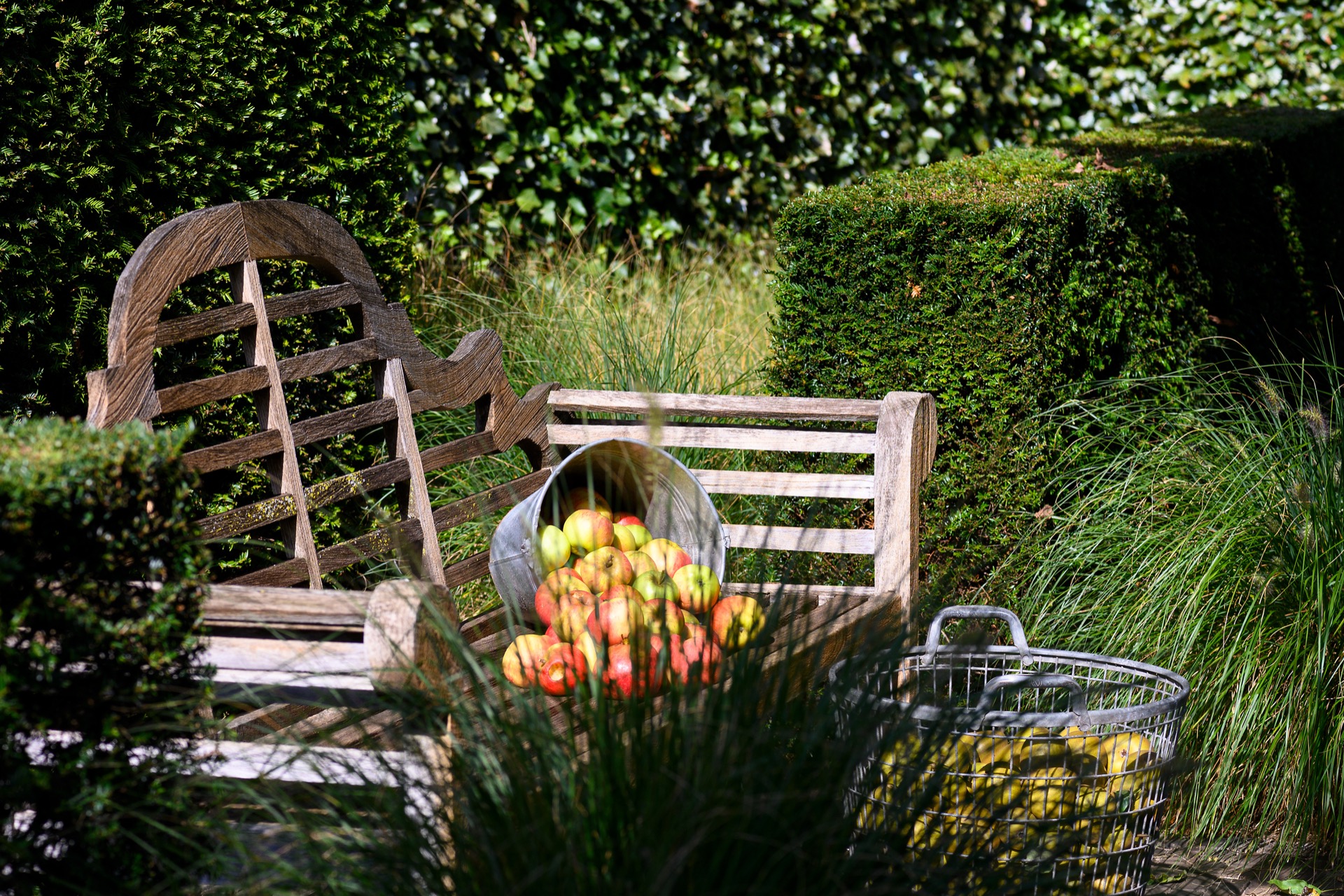 giardino di campagna con aree giardino: dettaglio di un cancello in legno con graminacee e siepe in giardino rustico, Luxe, Design, Exclusief, Modern, Maatwerk, Bijzondere, Mooie