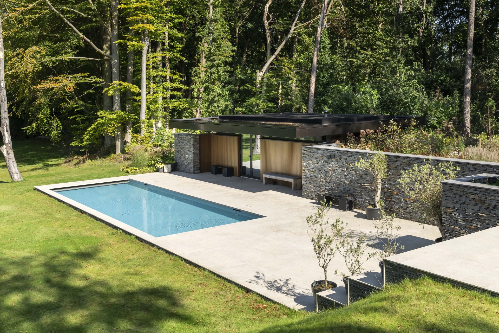 piscina skimmer rivestimento grigio chiaro: vista laterale di piscina con skimmer moderna con terrazza e gradini vicino a un, Luxury, Design, Exclusive, Modern, Custom Made, Special, Beautiful