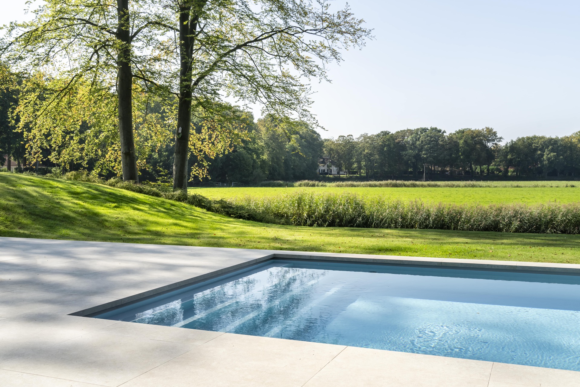 piscina skimmer rivestimento grigio chiaro: bordo della piscina in primo piano con ampio prato e fila di alberi in giardino, Luxury, Design, Exclusive, Modern, Custom Made, Special, Beautiful