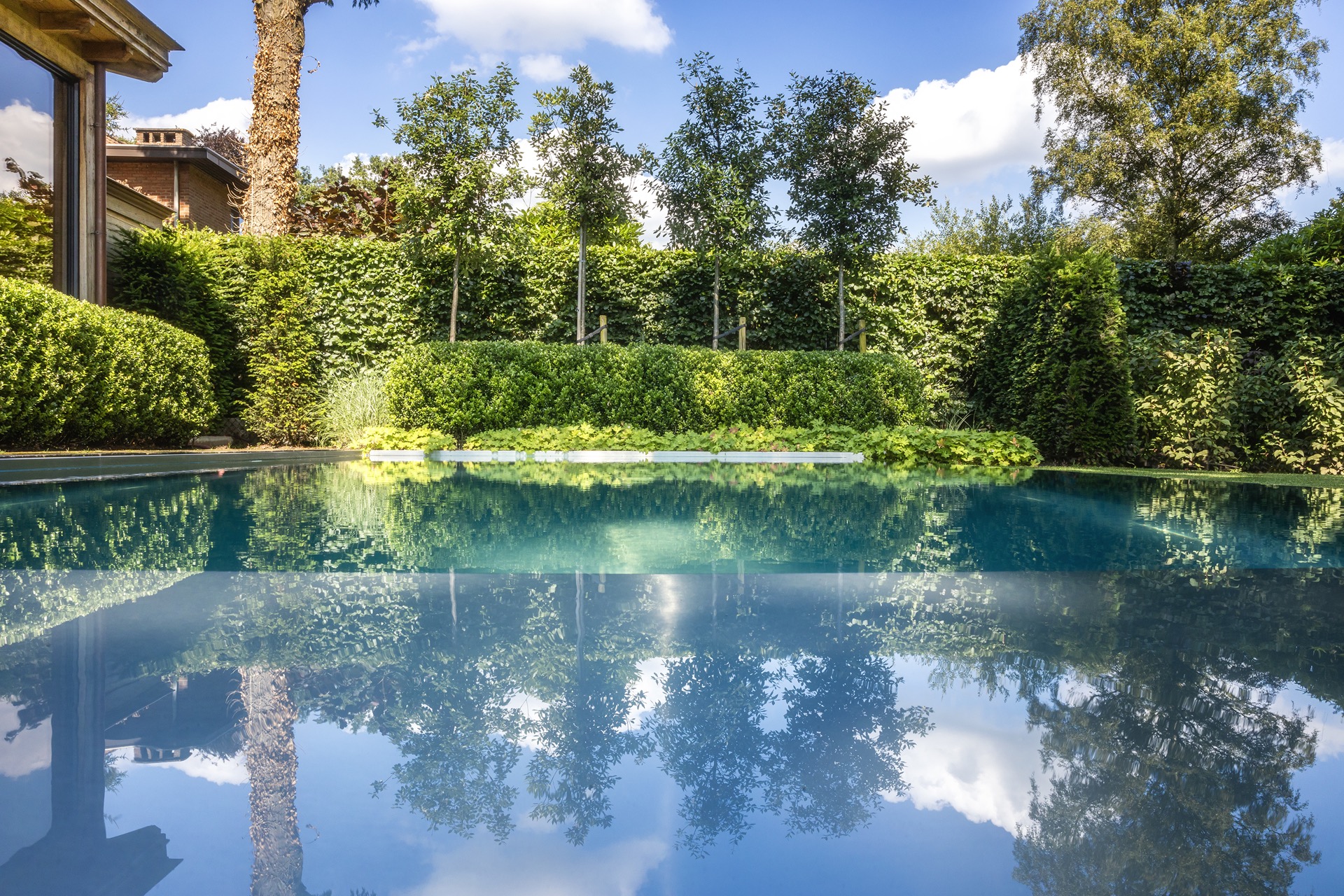 piscina rettangolare moderna: piscina rettangolare con acqua blu e bordi illuminati, circondata da siepi e prato, Luxury, Design, Exclusive, Modern, Custom Made, Special, Beautiful