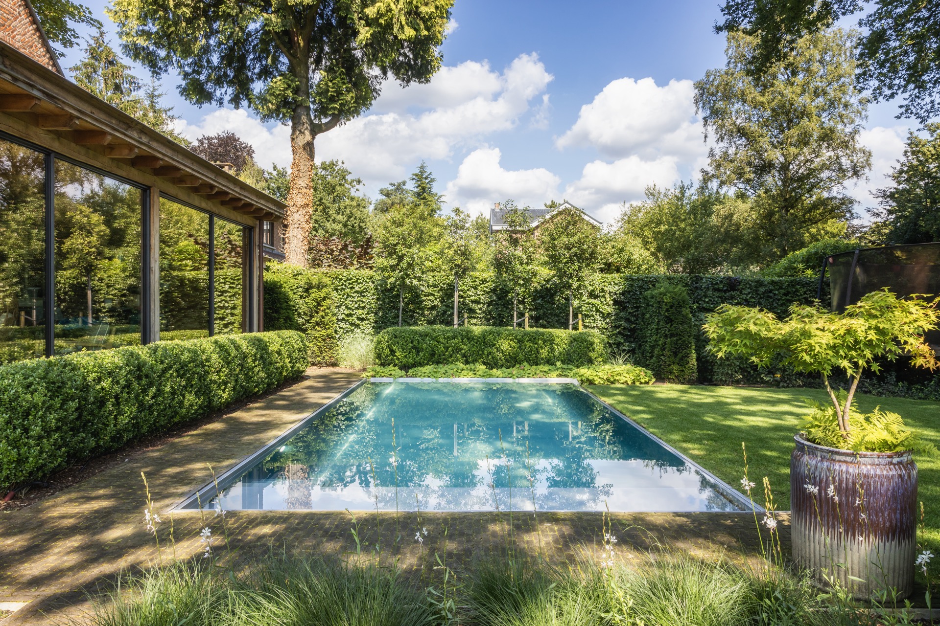 piscina rettangolare moderna: primo piano dell’acqua blu della piscina con bordo illuminato e siepi verdi in giardino, Luxury, Design, Exclusive, Modern, Custom Made, Special, Beautiful