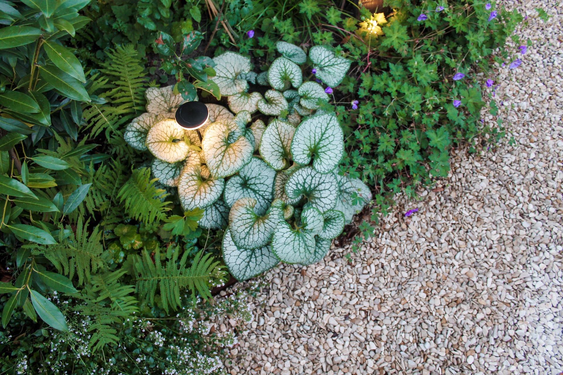 city garden lighting, Luxury, Design, Exclusive, Modern, Custom Made, Special, Beautiful
