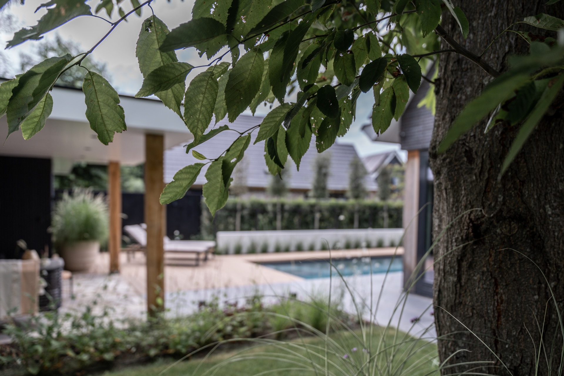 giardino moderno con piscina: giardino con bambù e piante verdi per privacy e atmosfera naturale, Luxury, Design, Exclusive, Modern, Custom Made, Special, Beautiful
