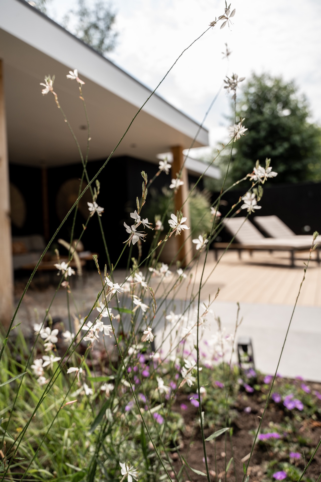 giardino moderno con piscina: casa moderna di lusso con giardino, piscina e terrazza per vita all'aperto, Luxury, Design, Exclusive, Modern, Custom Made, Special, Beautiful