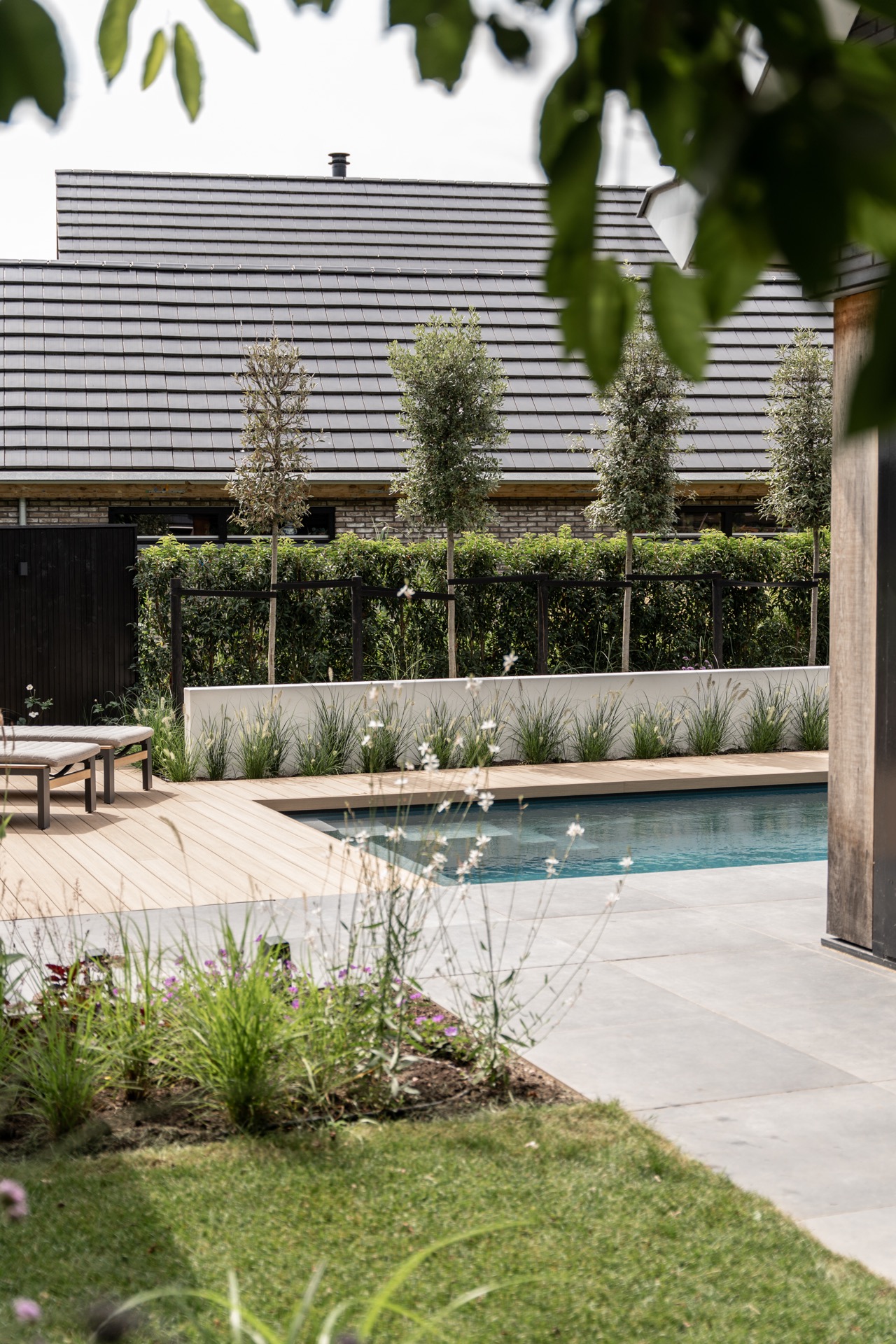 Giardino moderno con piscina, pavimento in legno e vegetazione per relax esterno, Luxury, Design, Exclusive, Modern, Custom Made, Special, Beautiful