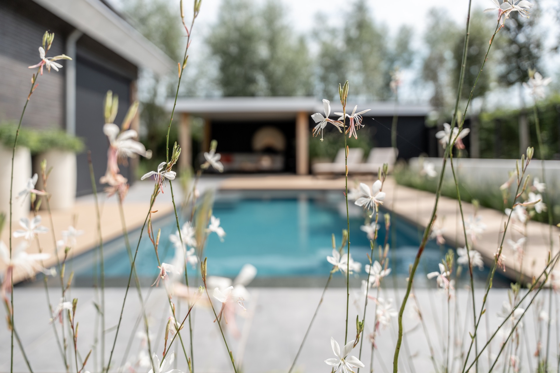 giardino moderno con piscina: giardino moderno con terrazza, zona relax e piante per relax esterno, Luxury, Design, Exclusive, Modern, Custom Made, Special, Beautiful