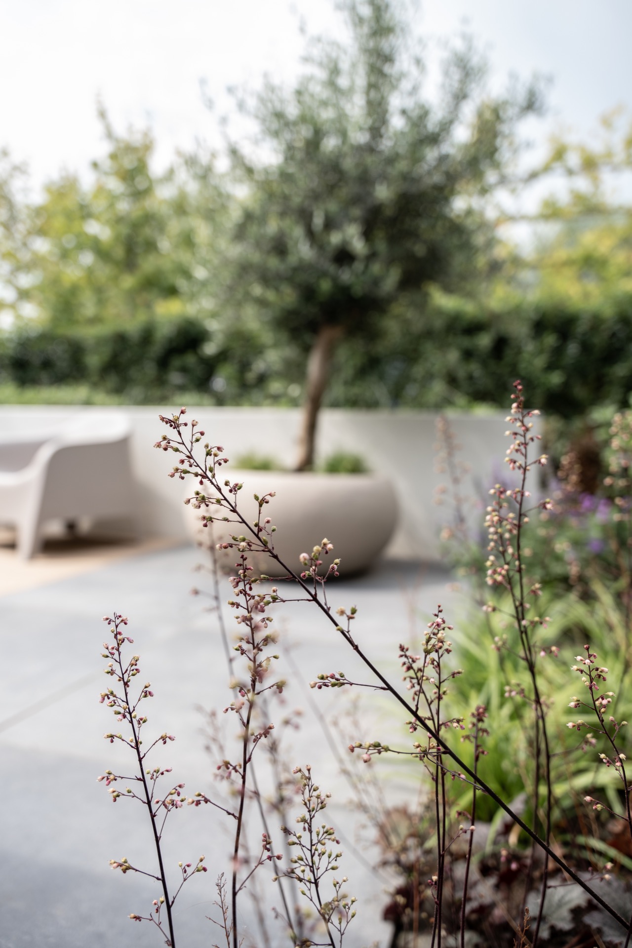 giardino moderno con piscina: giardino di lusso moderno con piscina, bordo in legno e lettini per il massimo relax, Luxury, Design, Exclusive, Modern, Custom Made, Special, Beautiful