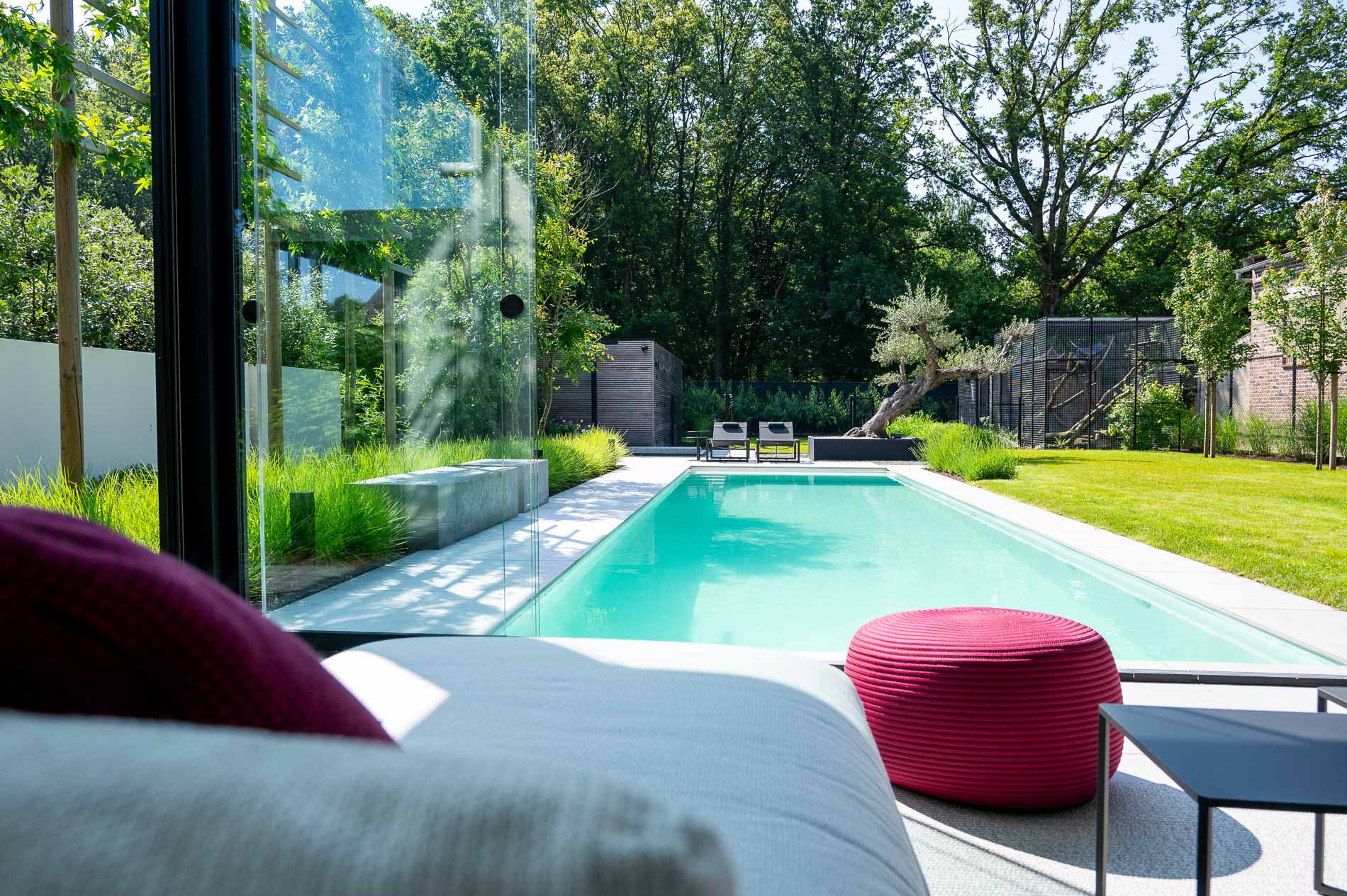 giardino moderno con fascino mediterraneo: giardino naturale con prato e basso arbusti., Luxury, Design, Exclusive, Modern, Custom Made, Special, Beautiful