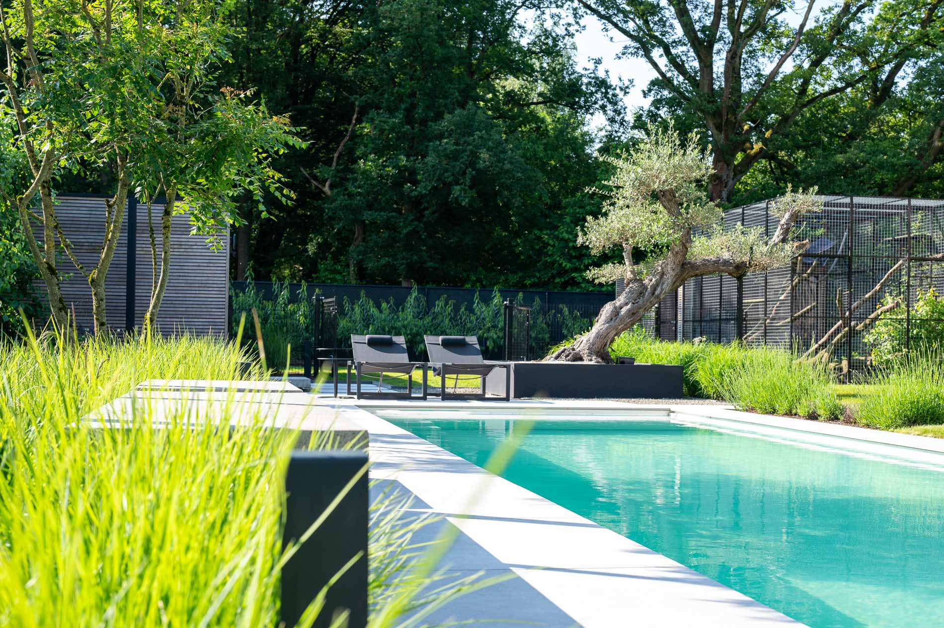 giardino moderno con fascino mediterraneo: giardino naturale con prato e alberi., Luxury, Design, Exclusive, Modern, Custom Made, Special, Beautiful
