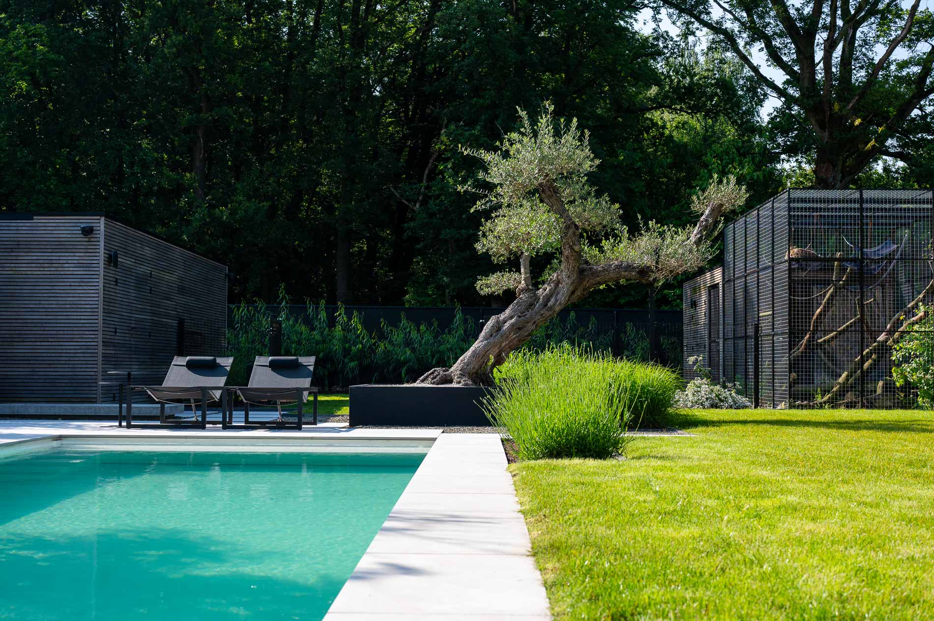giardino moderno con fascino mediterraneo: giardino naturale con cespugli bassi e prato., Luxury, Design, Exclusive, Modern, Custom Made, Special, Beautiful