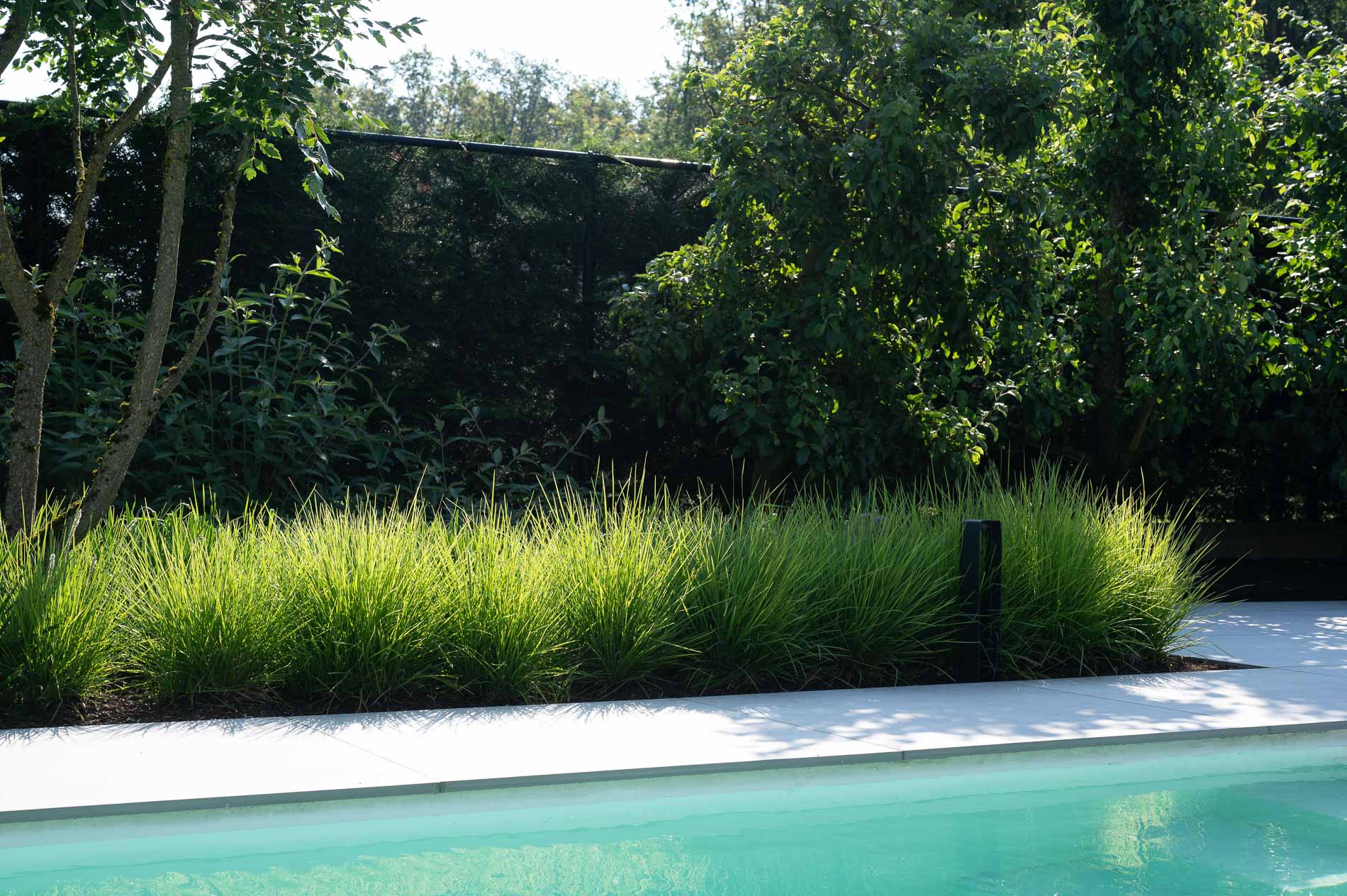 giardino moderno con fascino mediterraneo: giardino naturale con prato e alberi., Luxury, Design, Exclusive, Modern, Custom Made, Special, Beautiful