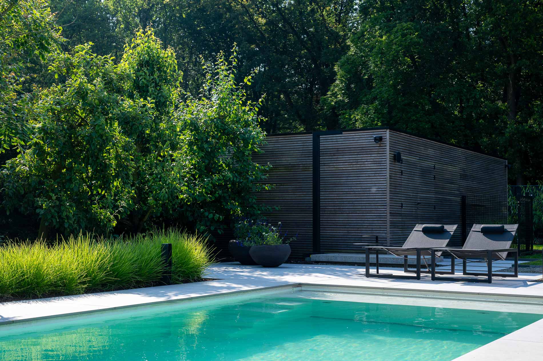 giardino moderno con fascino mediterraneo: giardino con staccionata bassa e piante fiorite., Luxury, Design, Exclusive, Modern, Custom Made, Special, Beautiful