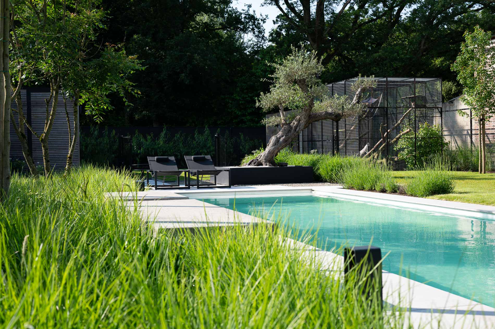 giardino moderno con fascino mediterraneo: giardino moderno con piscina, sedie a sdraio e piante mediterranee., Luxury, Design, Exclusive, Modern, Custom Made, Special, Beautiful