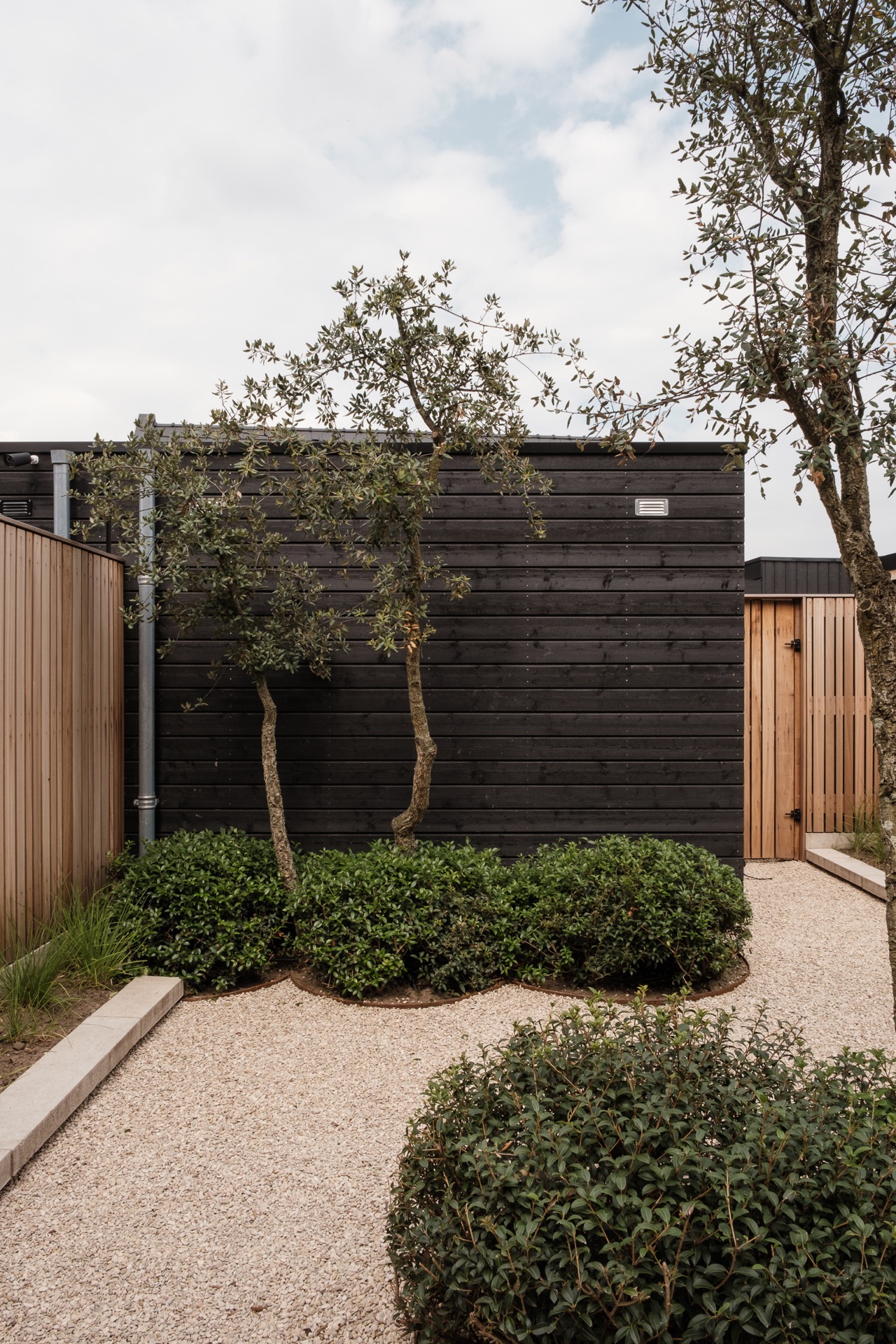 idee di giardini urbani moderni: giardino moderno con recinto in legno, alberi sempreverdi e illuminazione atmosferica, Luxury, Design, Exclusive, Modern, Custom Made, Special, Beautiful